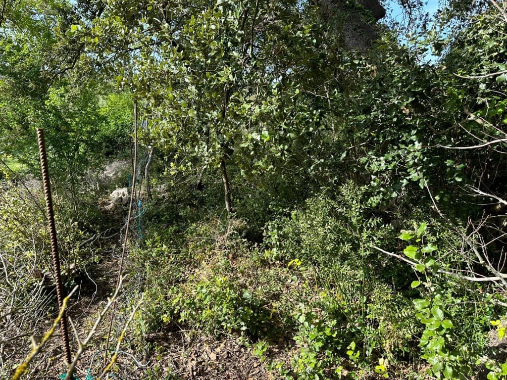 Area Edificabile in vendita in Arta - 245.000 € (Rif: 7092995)