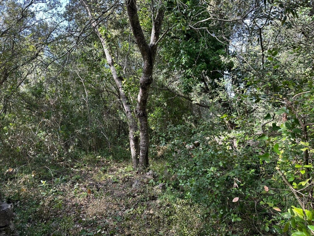 Area Edificabile in vendita in Arta - 245.000 € (Rif: 7092995)