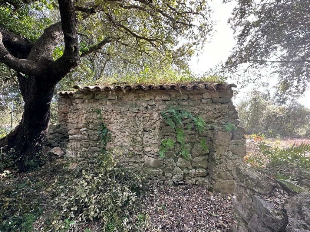 Area Edificabile in vendita in Arta - 245.000 € (Rif: 7092995)