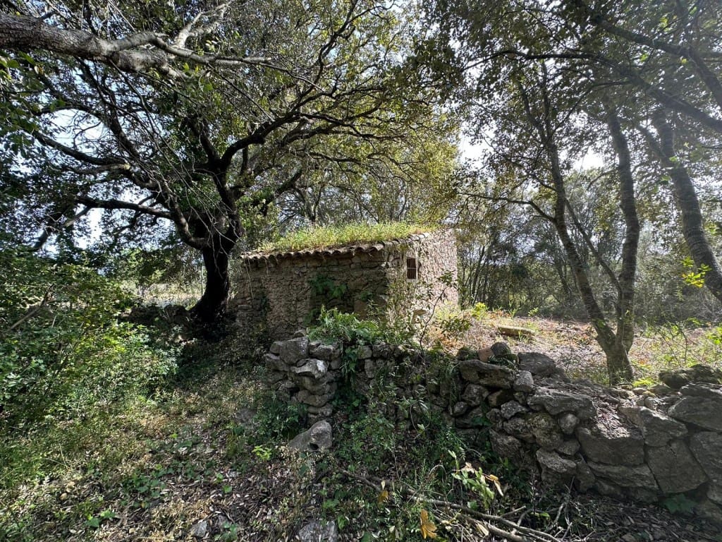 Area Edificabile in vendita in Arta - 245.000 € (Rif: 7092995)