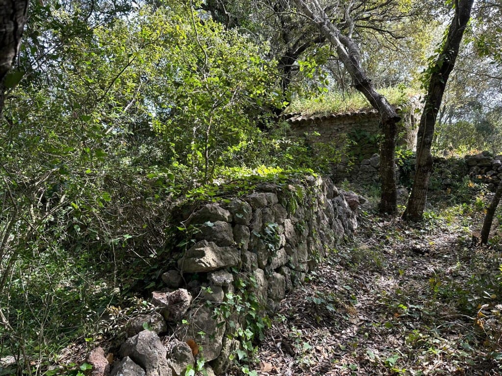 Area Edificabile in vendita in Arta - 245.000 € (Rif: 7092995)