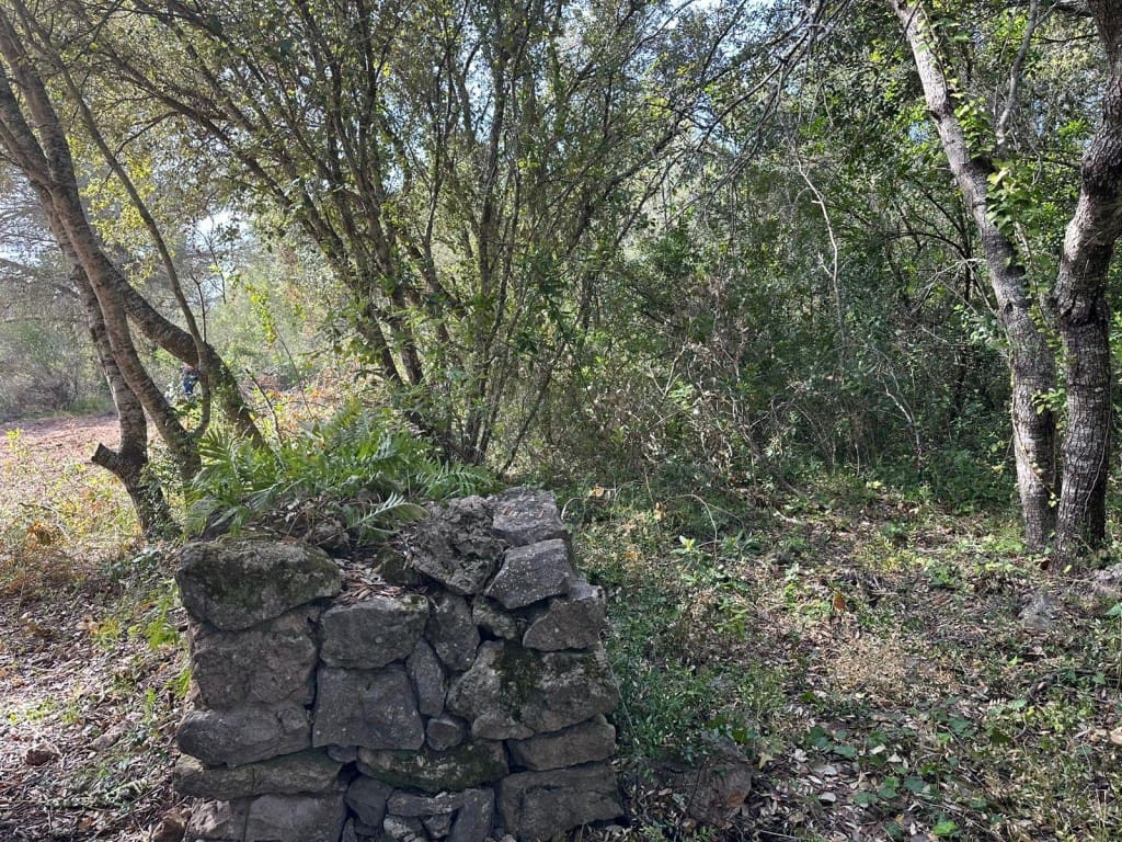 Area Edificabile in vendita in Arta - 245.000 € (Rif: 7092995)