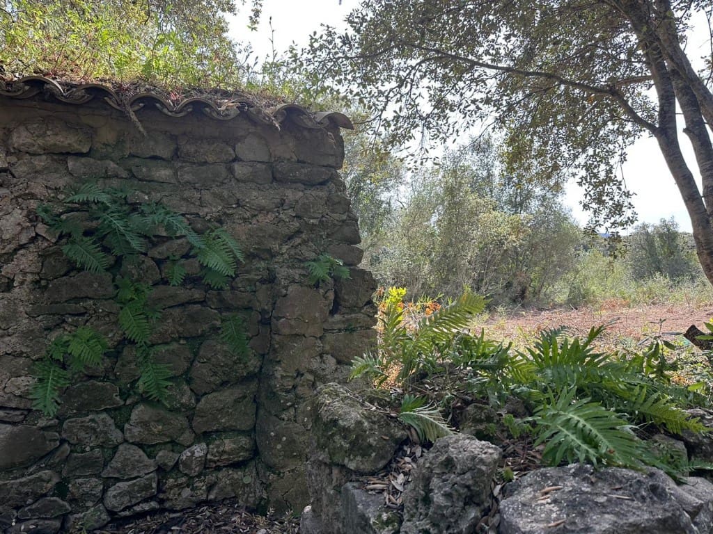 Area Edificabile in vendita in Arta - 245.000 € (Rif: 7092995)