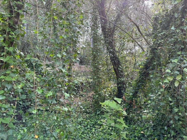 Building Plot for sale in Artà - € 245,000 (Ref: 7092995)