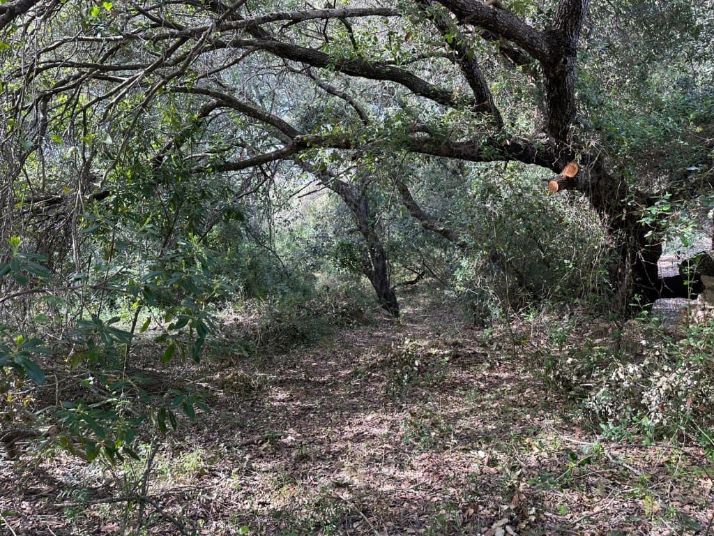 Area Edificabile in vendita in Arta - 245.000 € (Rif: 7092995)