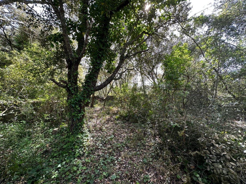 Area Edificabile in vendita in Arta - 245.000 € (Rif: 7092995)