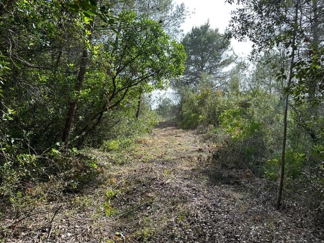 Building Plot for sale in Artà - € 245,000 (Ref: 7092995)