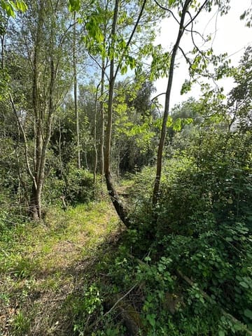 Building Plot for sale in Artà - € 245,000 (Ref: 7092995)