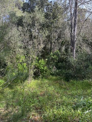 Building Plot for sale in Artà - € 245,000 (Ref: 7092995)