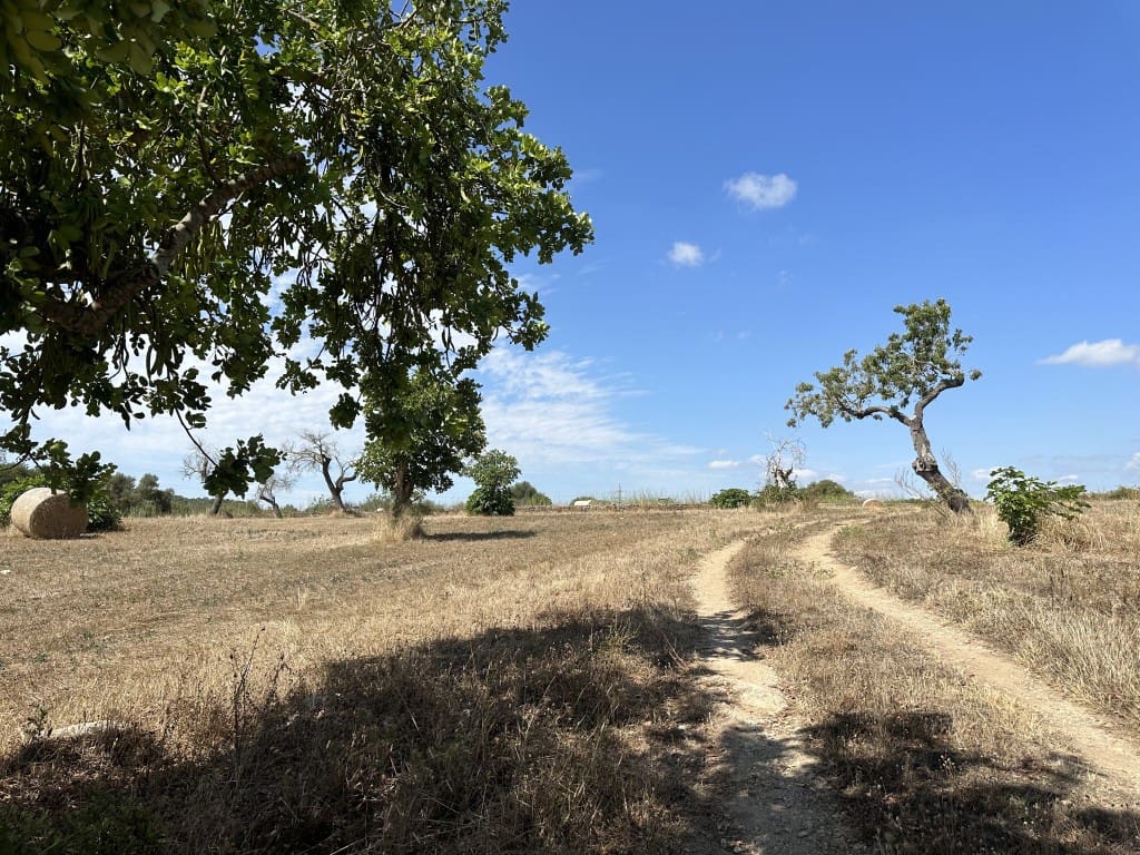 Finca/Herregård til salgs i Arta - € 742 000 (Ref: 7681654)