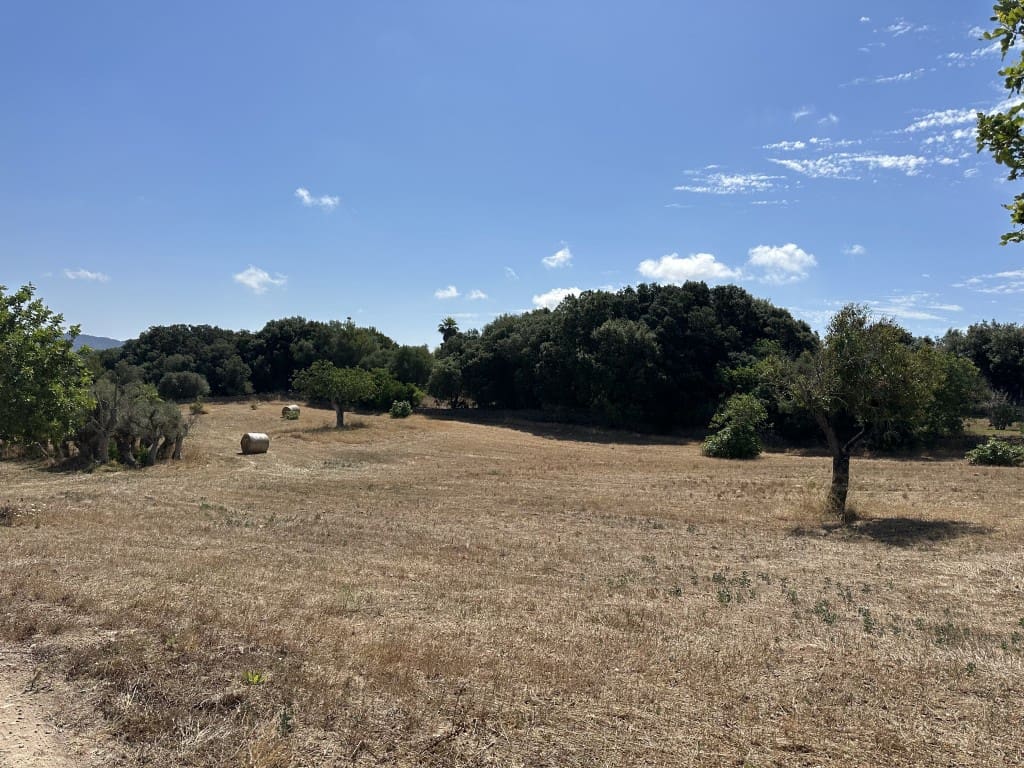 Finca/Herregård til salgs i Arta - € 742 000 (Ref: 7681654)