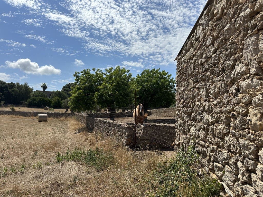 Finca/Herregård til salgs i Arta - € 742 000 (Ref: 7681654)