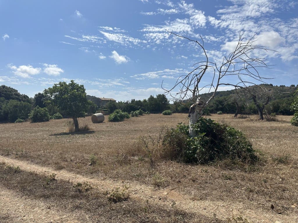 Finca/Herregård til salgs i Arta - € 742 000 (Ref: 7681654)