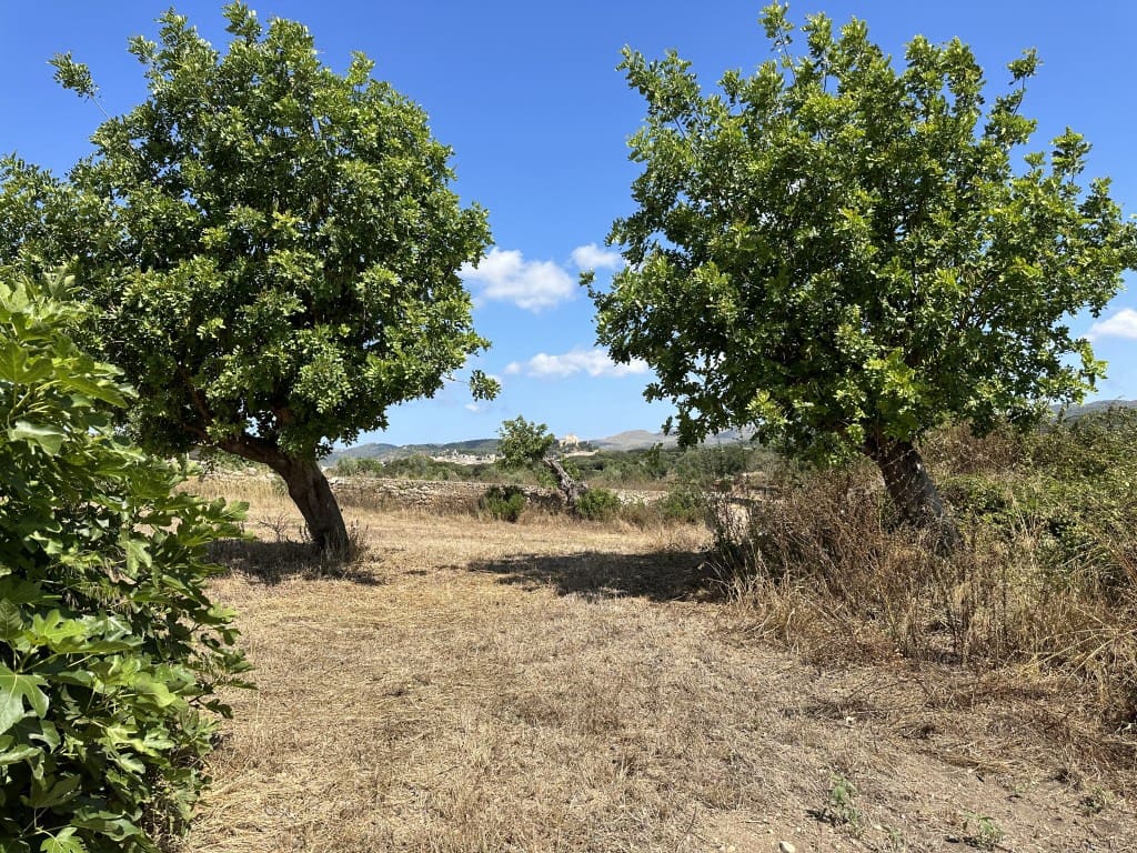 Finca/Herregård til salgs i Arta - € 742 000 (Ref: 7681654)