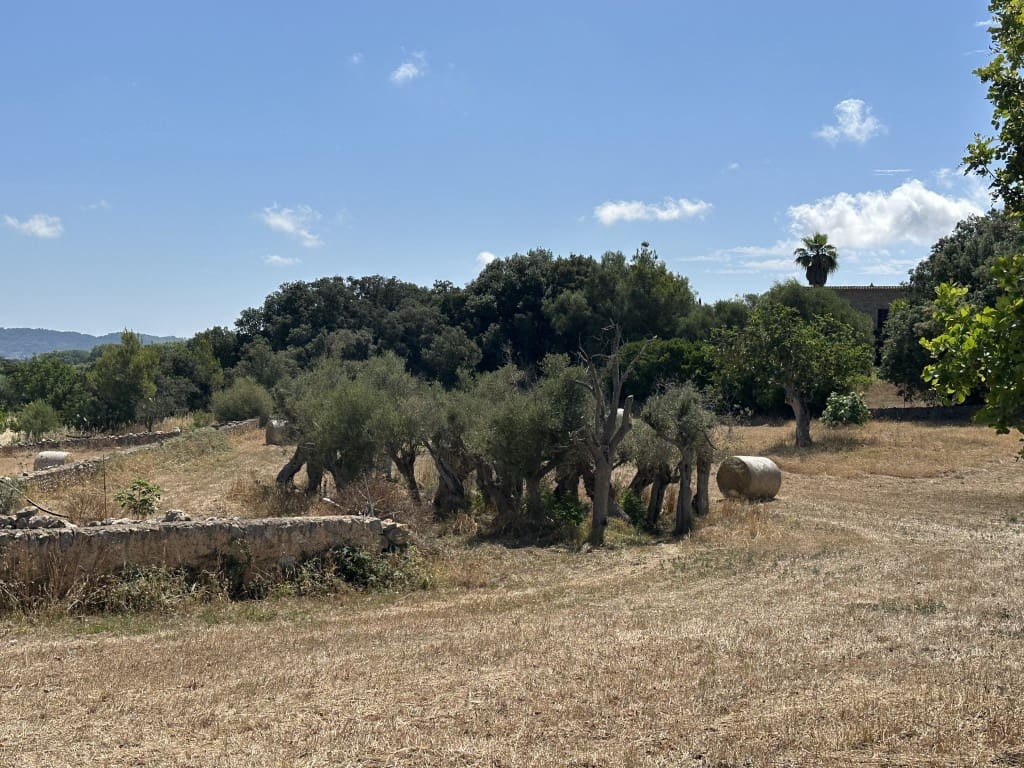 Finca/Herregård til salgs i Arta - € 742 000 (Ref: 7681654)