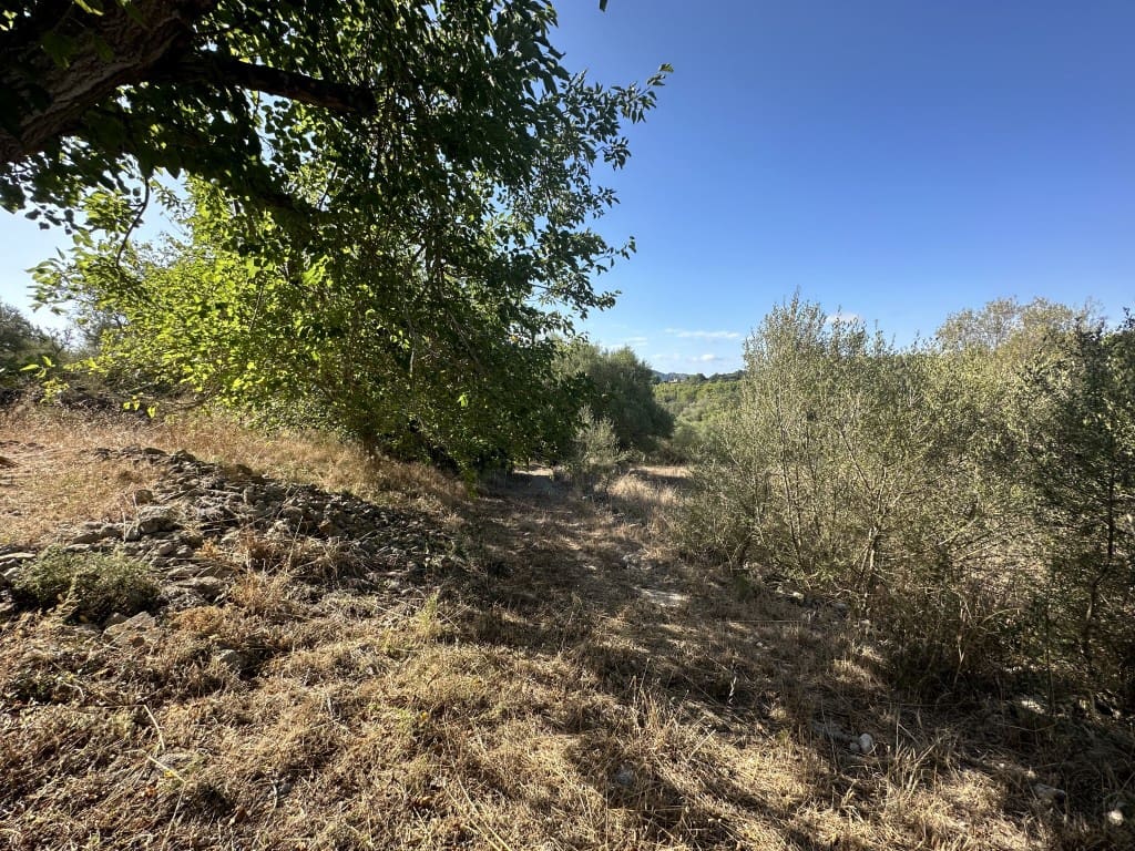 6 soverom Finca/Herregård til salgs i Arta - € 2 500 000 (Ref: 7763877)