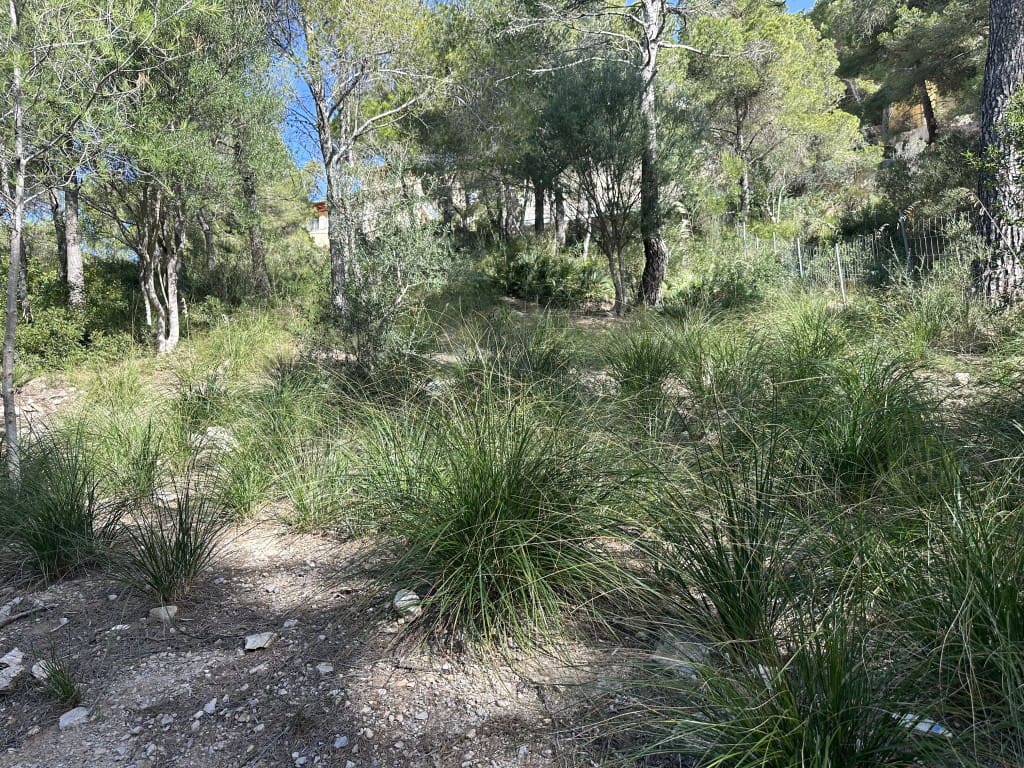 Byggetomt til salgs i Capdepera - € 850 000 (Ref: 8166849)