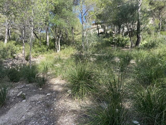 Tomt till salu i Capdepera - 850 000 € (Ref: 8166849)