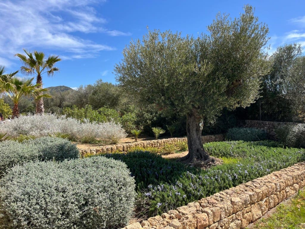 3 chambre Finca/Maison de Campagne à vendre à Manacor avec piscine - 1 900 000 € (Ref: 8405036)