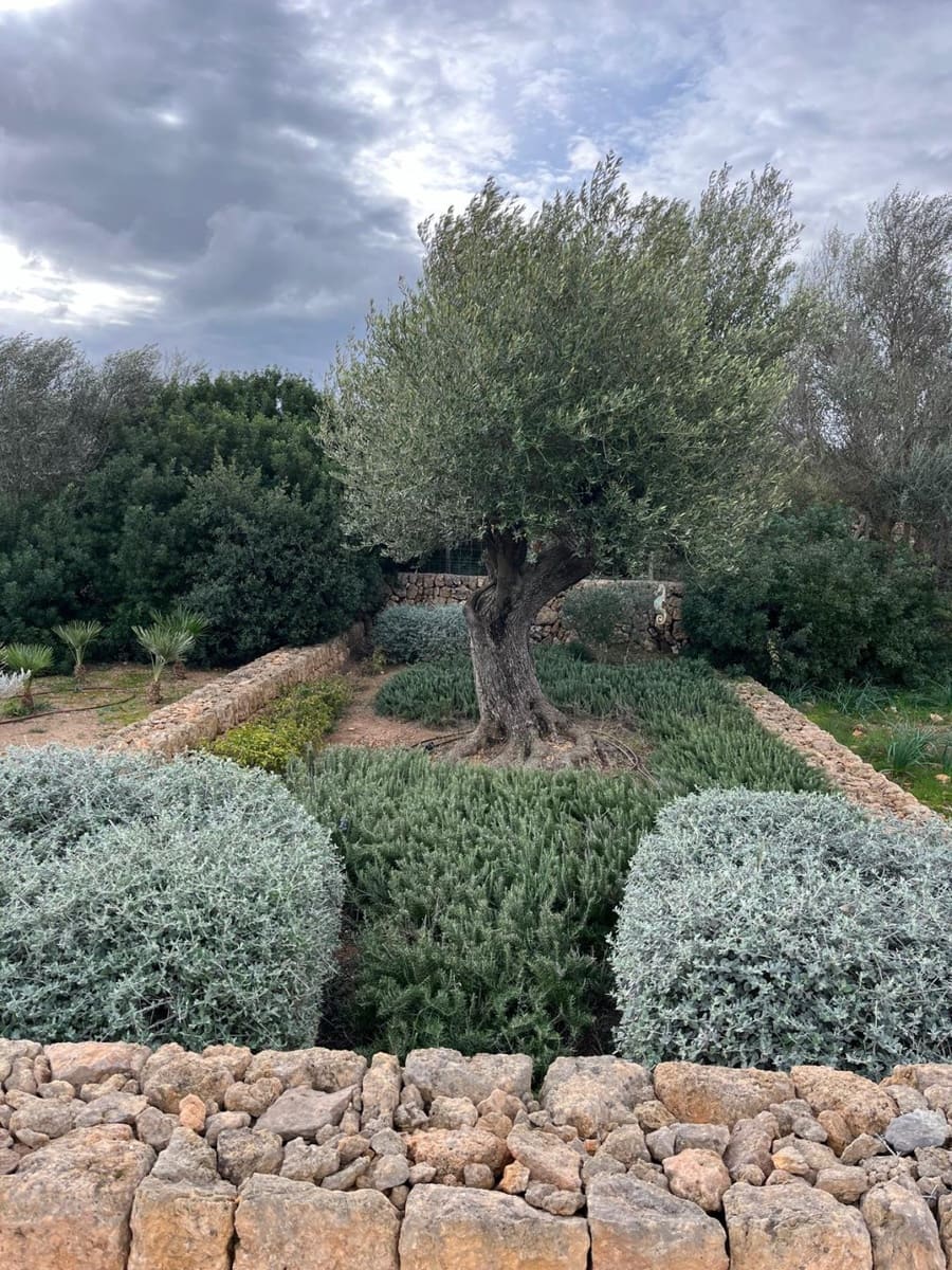 3 chambre Finca/Maison de Campagne à vendre à Manacor avec piscine - 1 900 000 € (Ref: 8405036)