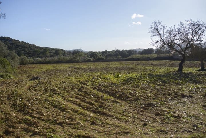 Tomt till salu i Capdepera - 298 000 € (Ref: 8797182)