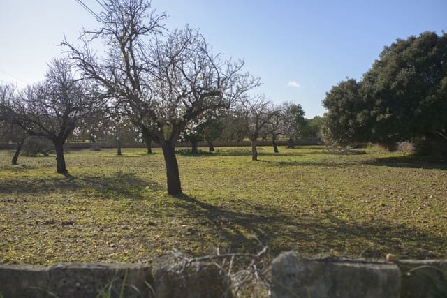 Tomt till salu i Capdepera - 298 000 € (Ref: 8797182)