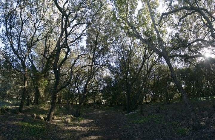 Tomt till salu i Capdepera - 298 000 € (Ref: 8797182)