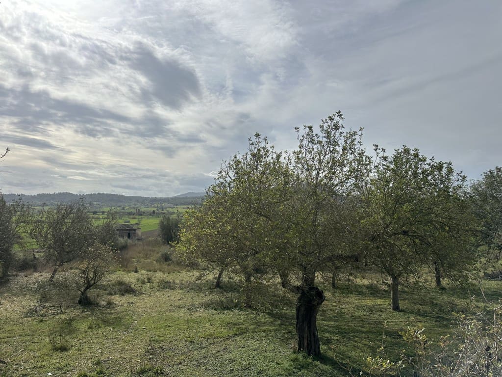 3 soveværelse Finca/Landehus til salg i Sineu med swimmingpool - € 850.000 (Ref: 8834155)