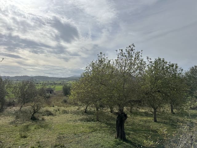 3 soveværelse Finca/Landehus til salg i Sineu med swimmingpool - € 850.000 (Ref: 8834155)