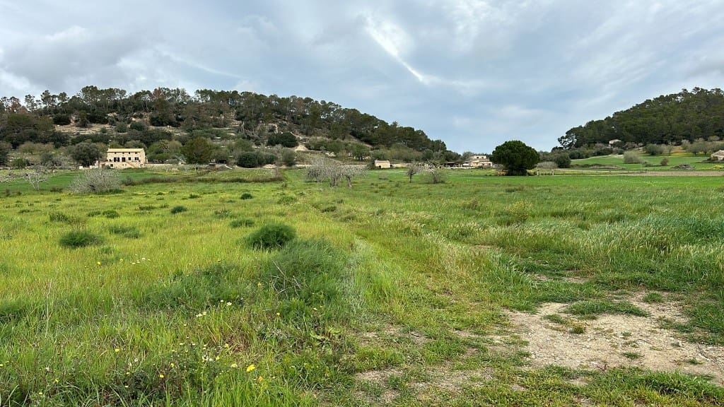 3 soveværelse Finca/Landehus til salg i Sineu med swimmingpool - € 850.000 (Ref: 8834155)