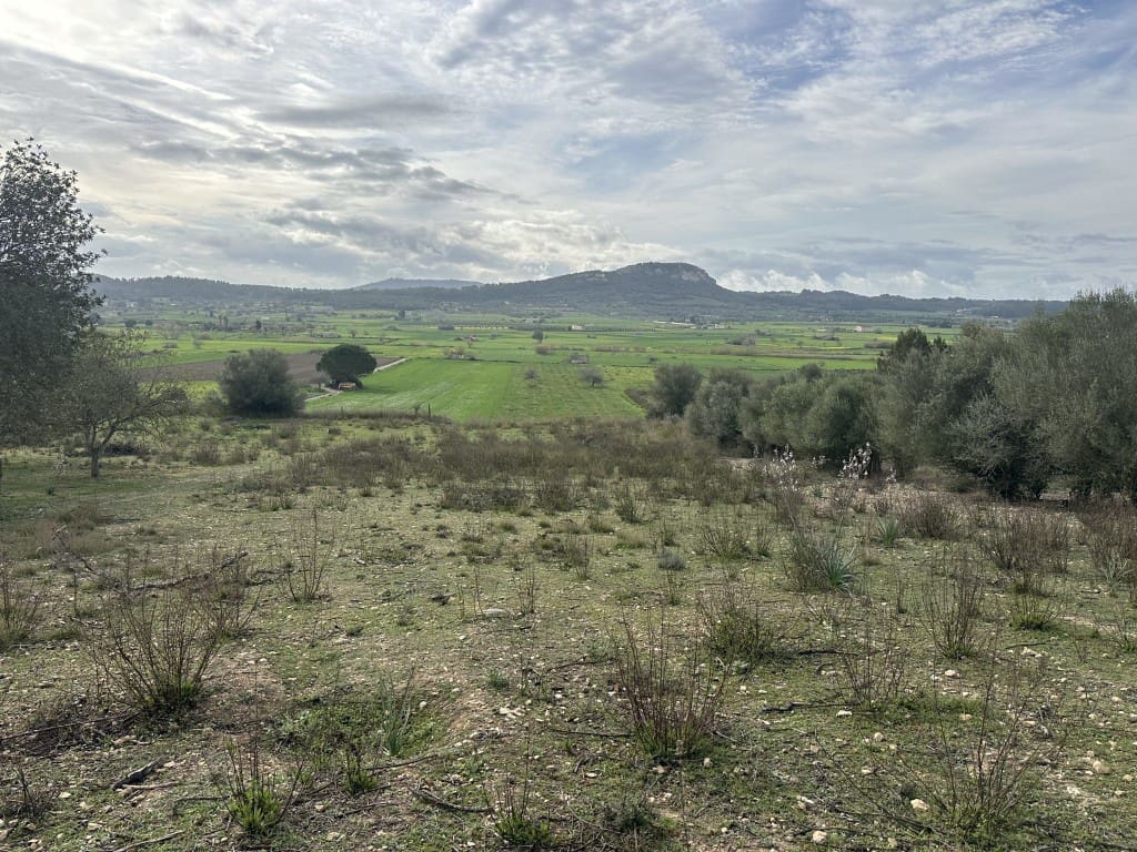 3 soveværelse Finca/Landehus til salg i Sineu med swimmingpool - € 850.000 (Ref: 8834155)