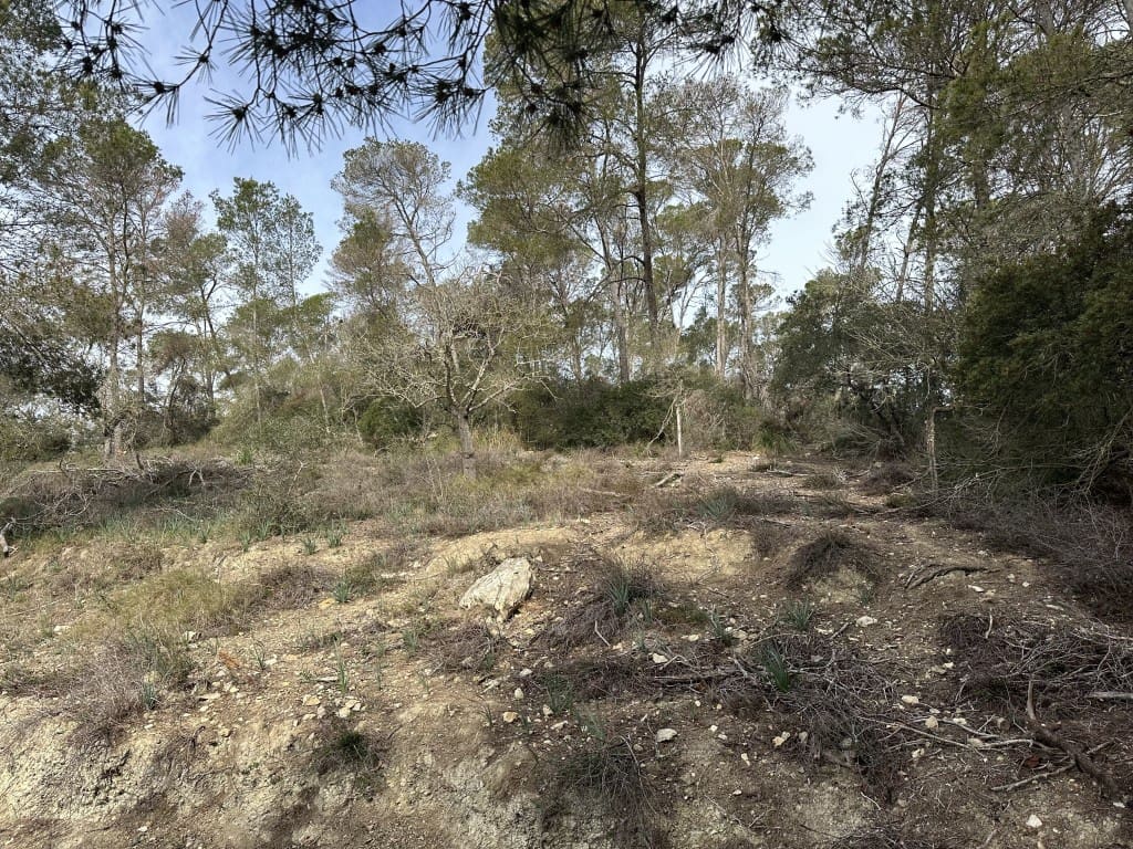 3 soveværelse Finca/Landehus til salg i Sineu med swimmingpool - € 850.000 (Ref: 8834155)