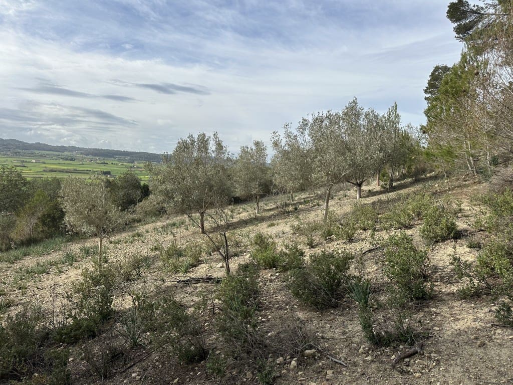 3 soveværelse Finca/Landehus til salg i Sineu med swimmingpool - € 850.000 (Ref: 8834155)