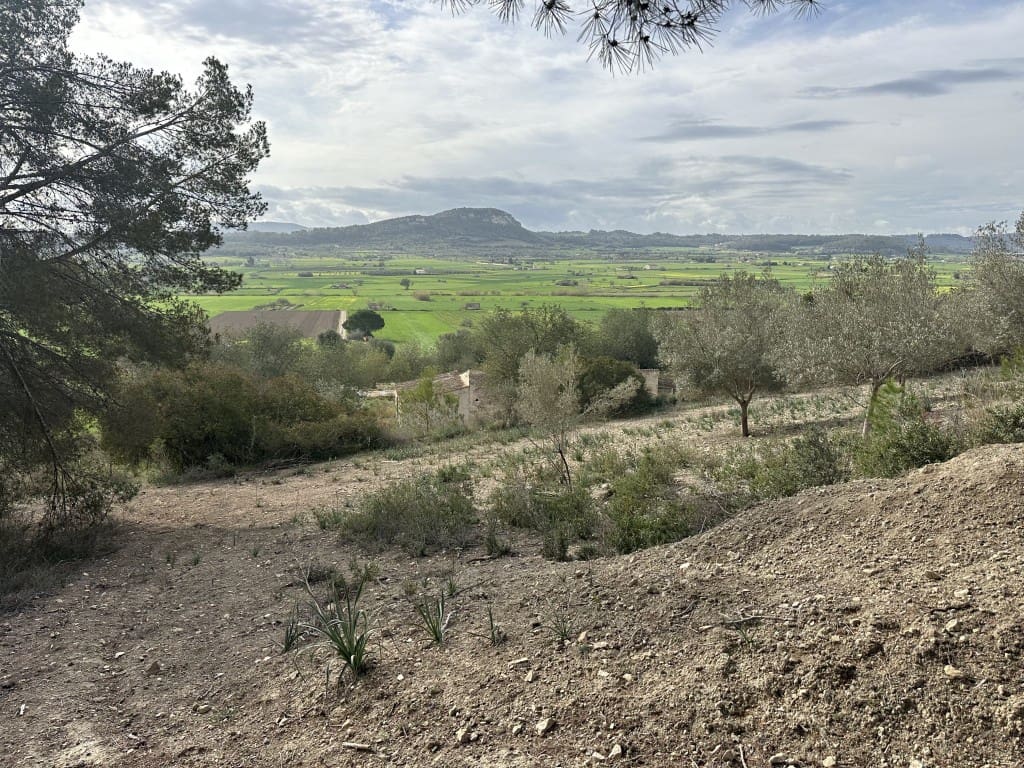 3 soveværelse Finca/Landehus til salg i Sineu med swimmingpool - € 850.000 (Ref: 8834155)