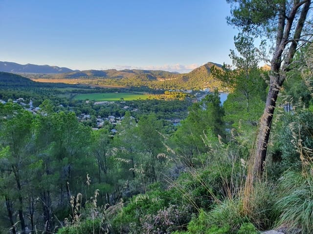 Building Plot for sale in Canyamel, Capdepera - € 204,000 (Ref: 8879489)