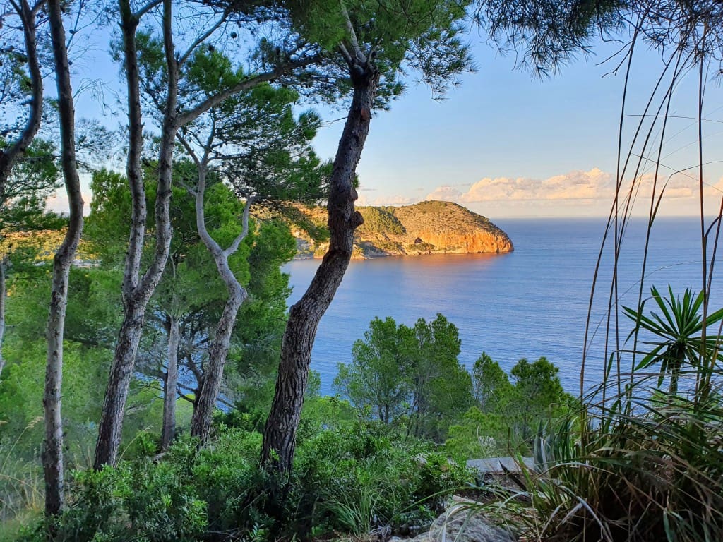 Byggegrund til salg i Canyamel - € 204.000 (Ref: 8879489)