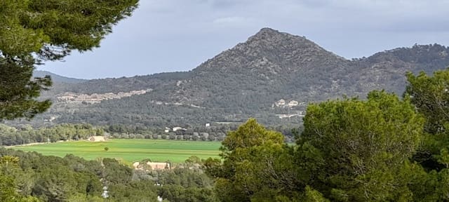 Building Plot for sale in Canyamel, Capdepera - € 387,200 (Ref: 8879490)