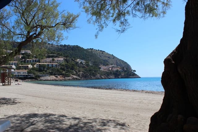 Building Plot for sale in Canyamel, Capdepera - € 387,200 (Ref: 8879490)