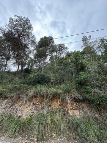Building Plot for sale in Canyamel, Capdepera - € 387,200 (Ref: 8879490)