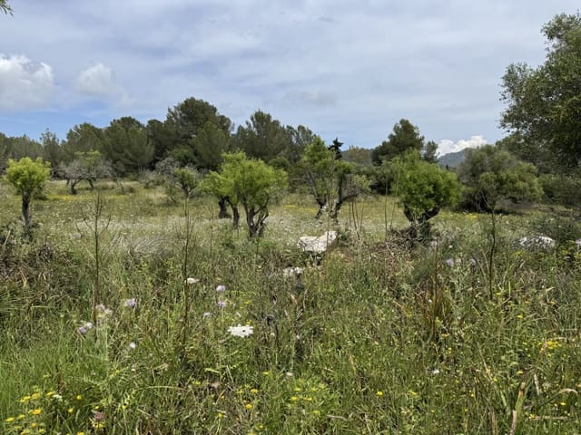 2 sypialnia Finka/Dom wiejski na sprzedaż w Artà - 525 000 € (Ref: 8985826)