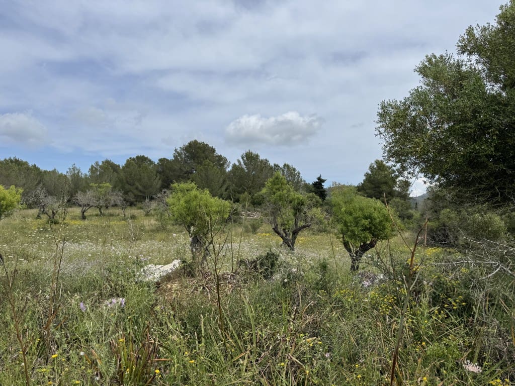 2 quarto Quinta/Casa Rural para venda em Arta - 525 000 € (Ref: 8985826)
