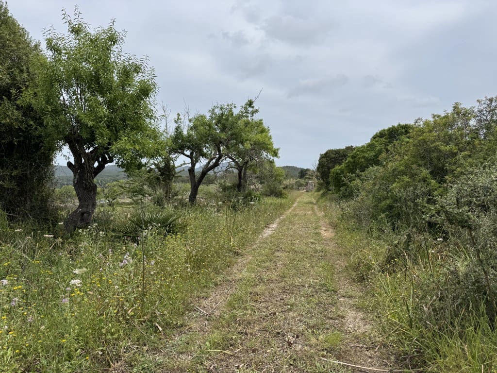 2 quarto Quinta/Casa Rural para venda em Arta - 525 000 € (Ref: 8985826)