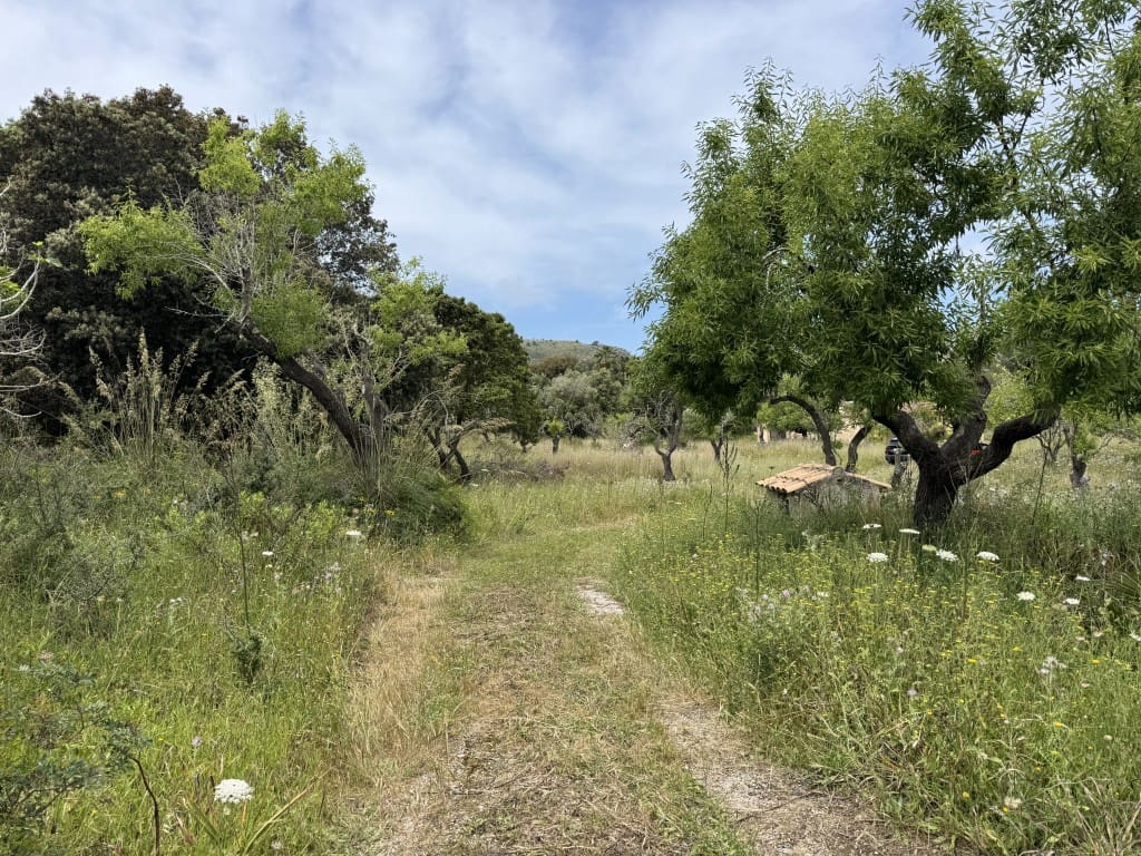 2 quarto Quinta/Casa Rural para venda em Arta - 525 000 € (Ref: 8985826)