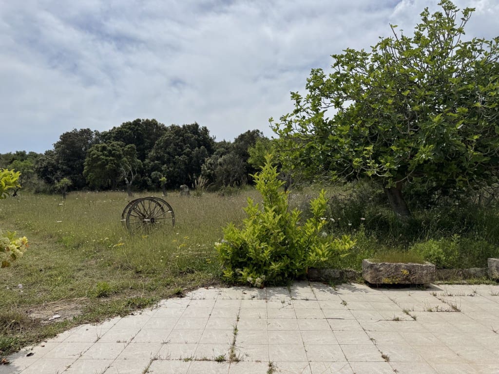 2 quarto Quinta/Casa Rural para venda em Arta - 525 000 € (Ref: 8985826)