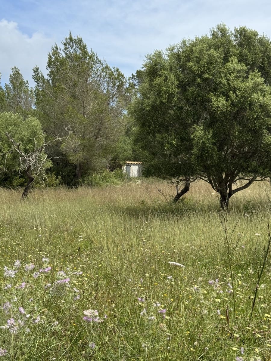 2 quarto Quinta/Casa Rural para venda em Arta - 525 000 € (Ref: 8985826)