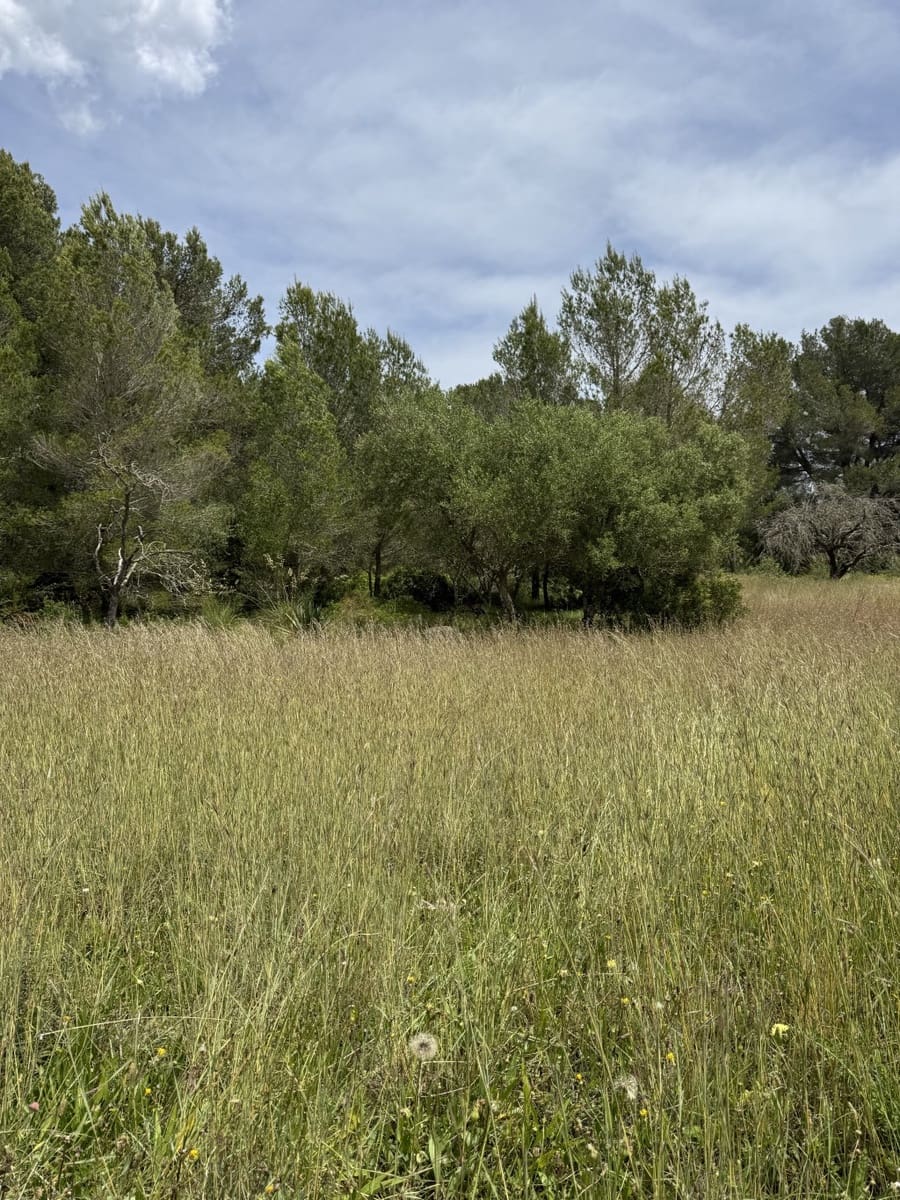 2 quarto Quinta/Casa Rural para venda em Arta - 525 000 € (Ref: 8985826)