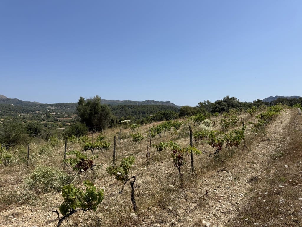 7 soverom Finca/Herregård til salgs i Arta med svømmebasseng - € 4 500 000 (Ref: 9142760)