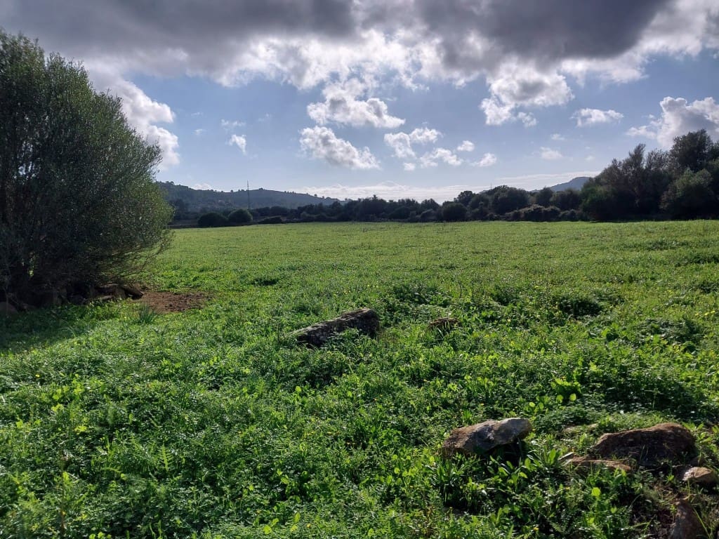 Finca/Herregård til salgs i Capdepera - € 375 000 (Ref: 9153820)