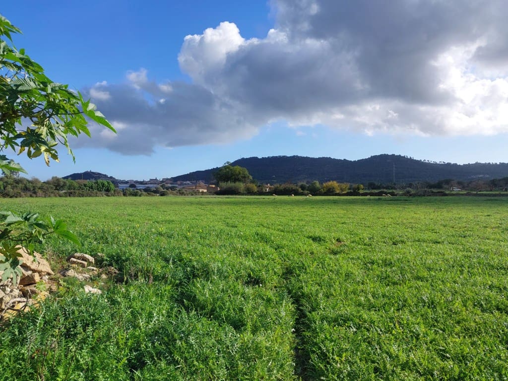 Finca/Herregård til salgs i Capdepera - € 375 000 (Ref: 9153820)