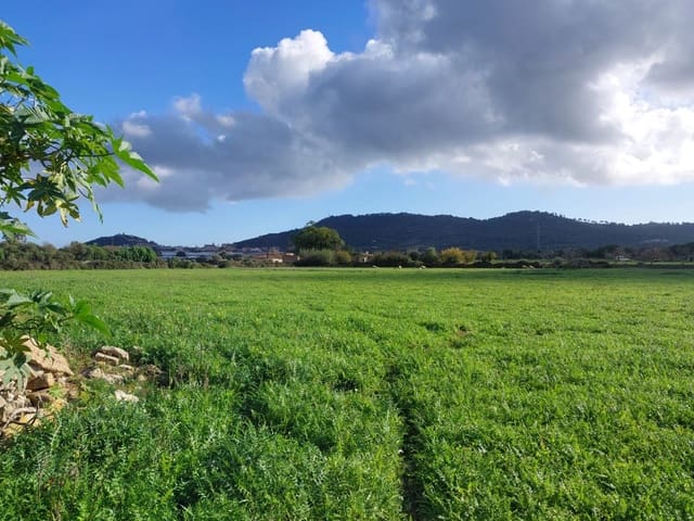 Finca/Herregård til salgs i Capdepera - € 375 000 (Ref: 9153820)